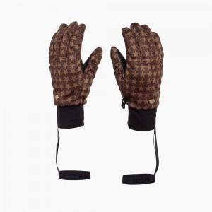 Goldbergh POLARIS Ski Handschuhe Dunkelbraun | CXNLHO208