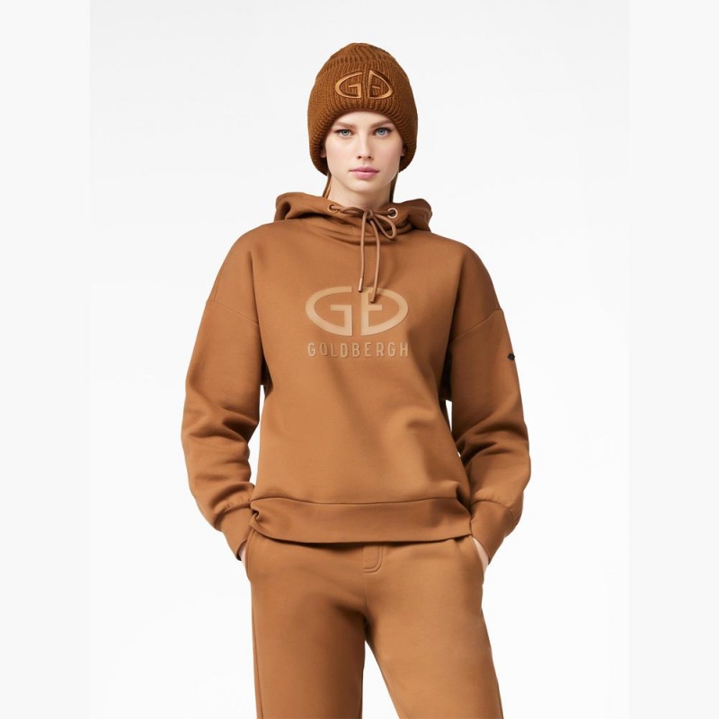 Goldbergh HARVARD hooded sweater Hoodie Beige | SCVBEN604