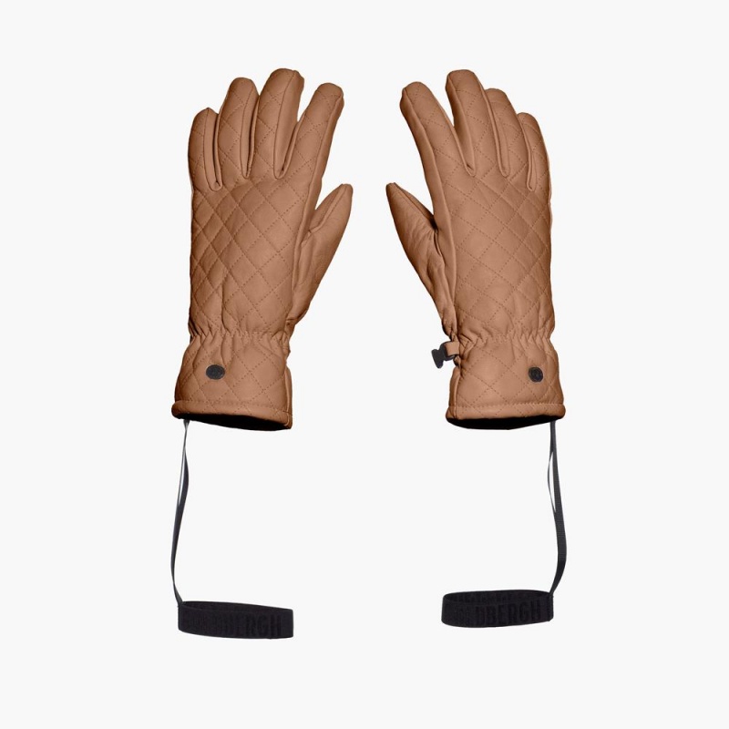 Goldbergh NISHI Ski Handschuhe Braun | QFWUNE287