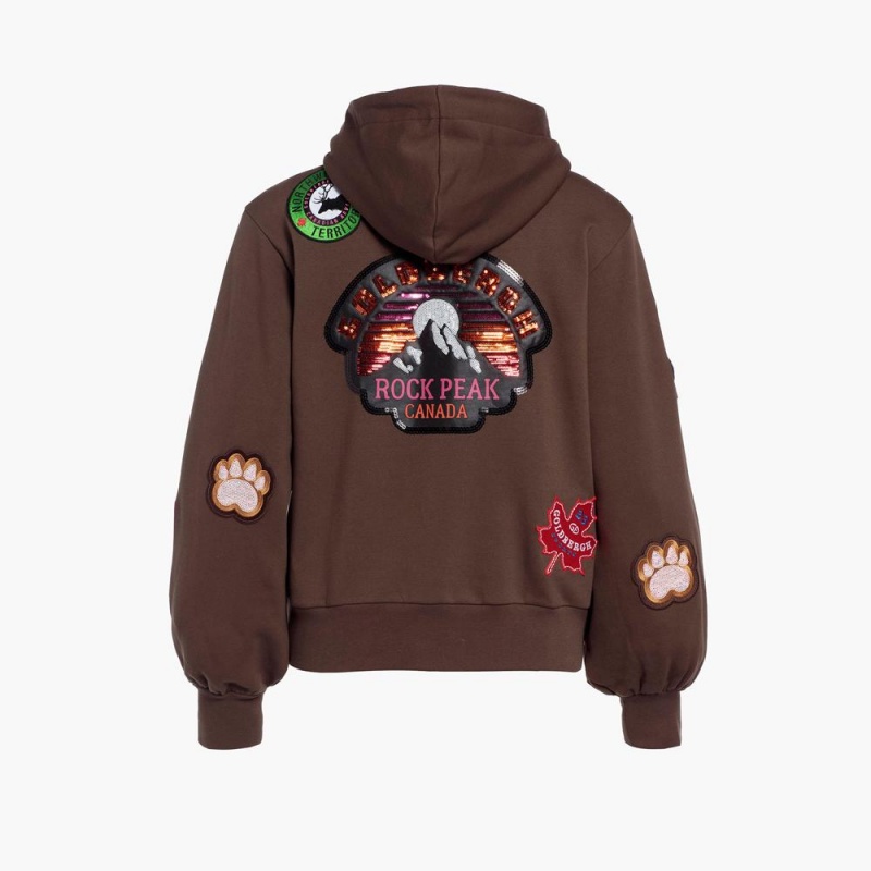 Goldbergh STANLEY hooded Hoodie Braun | LAOTCR738